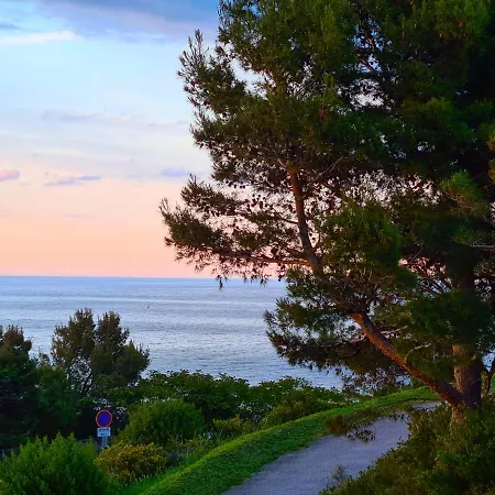 Le Panorama Bleu - Vue Mer - 4 Personnes *